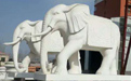 石雕大象適合擺放在哪里？